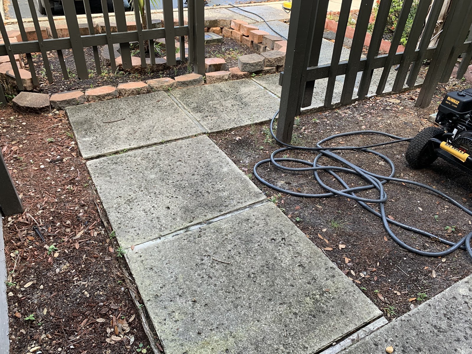 Concrete side yard, freshly pressure washed
