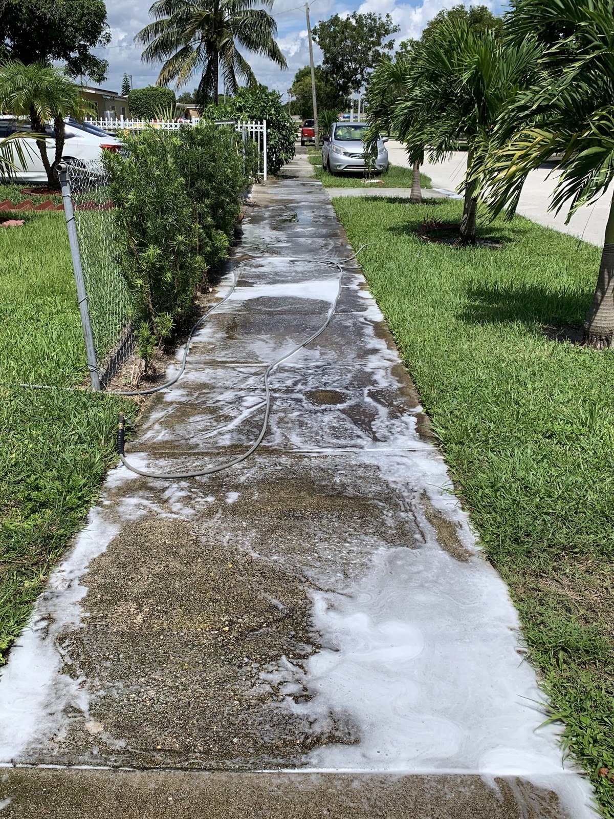 Fence Cleaning